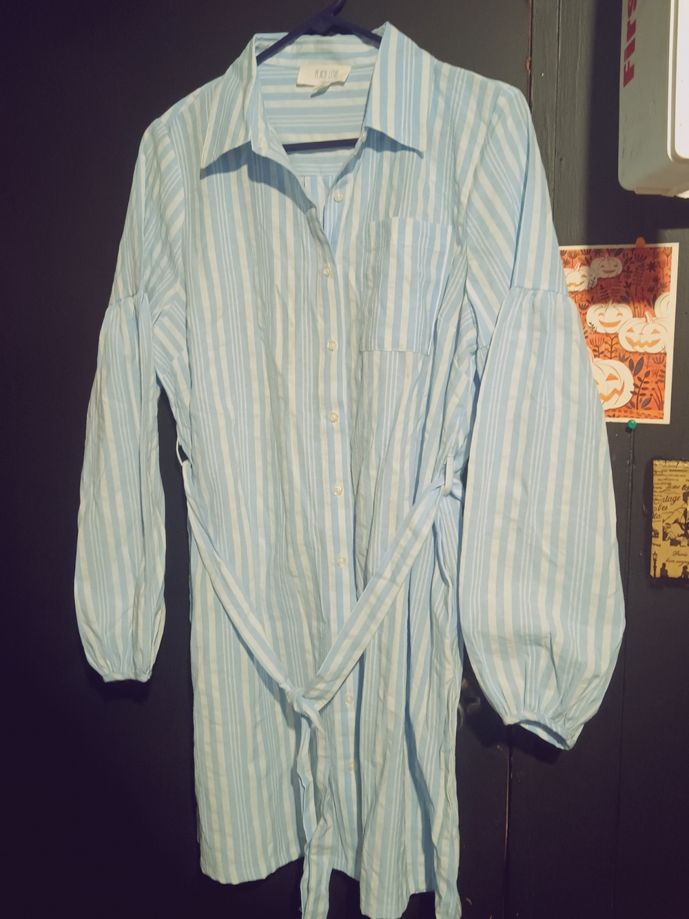 Peach Love California Light Blue and White Striped Button-Down Shirt